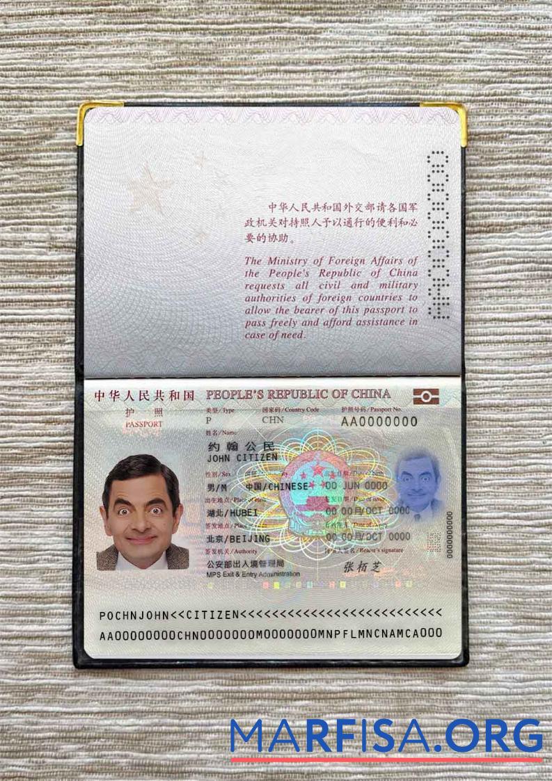 Printable China passport (2013 present) photo look real example